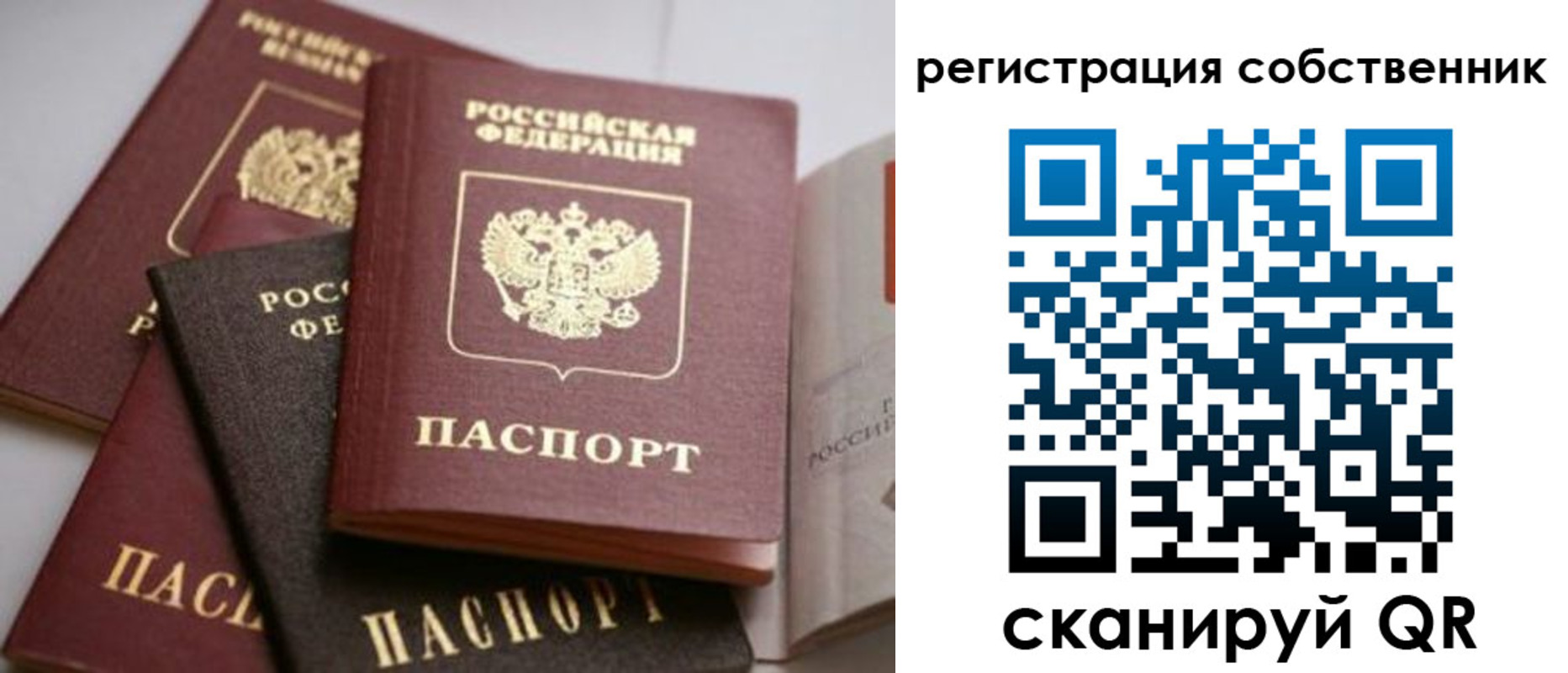 временная регистрация поиск в Волгоградской области